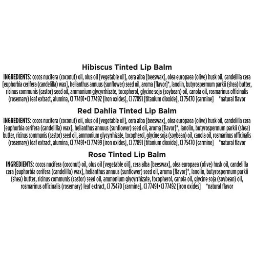 BURT'S BEES HALLOWEEN A LITTLE BATTY TINTED MINI LIP BALMS (3 PACK)