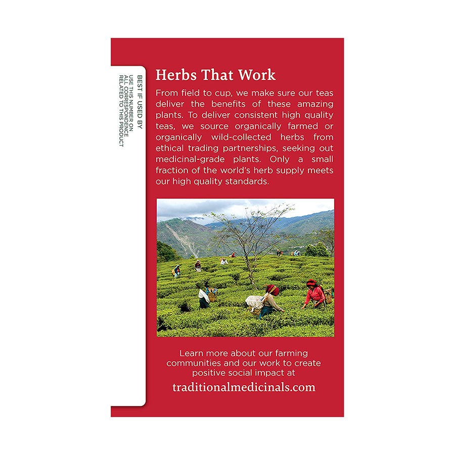 TRADITIONAL MEDICINALS - ORGANIC ECHINACEA PLUS TEA (16 TEA BAGS, 0.85 OZ)