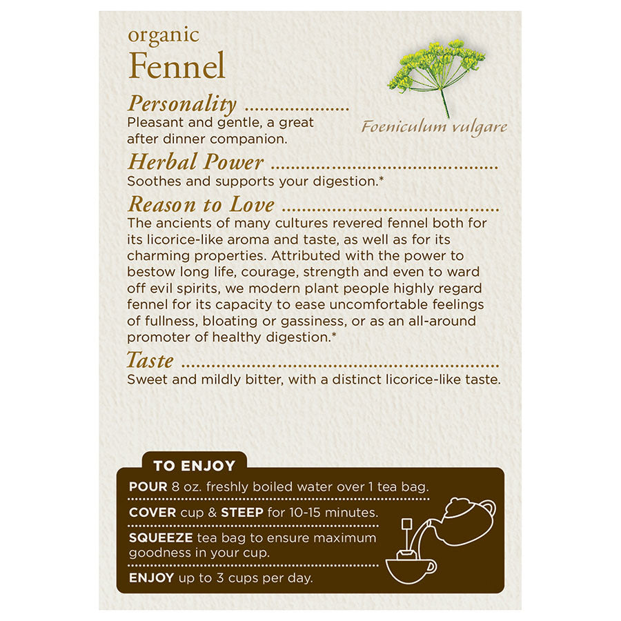 TRADITIONAL MEDICINALS - ORGANIC FENNEL TEA (16 TEA BAGS, 1.13 OZ)