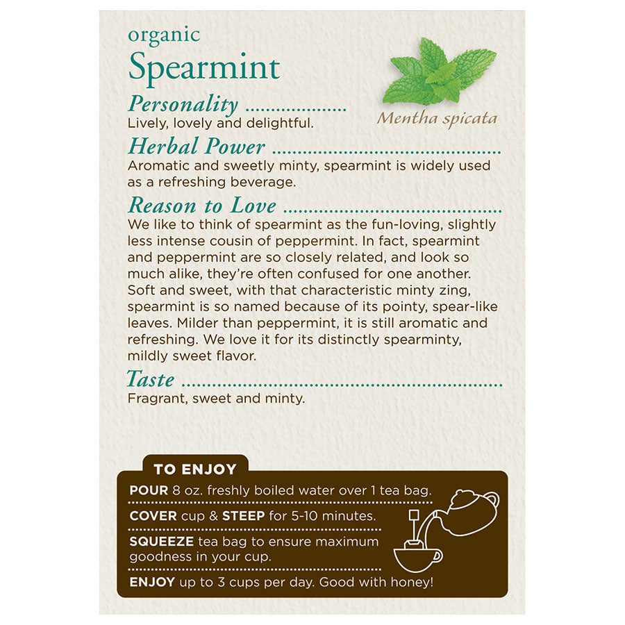 TRADITIONAL MEDICINALS - ORGANIC SPEARMINT TEA (16 TEA BAGS, 0.85 OZ)