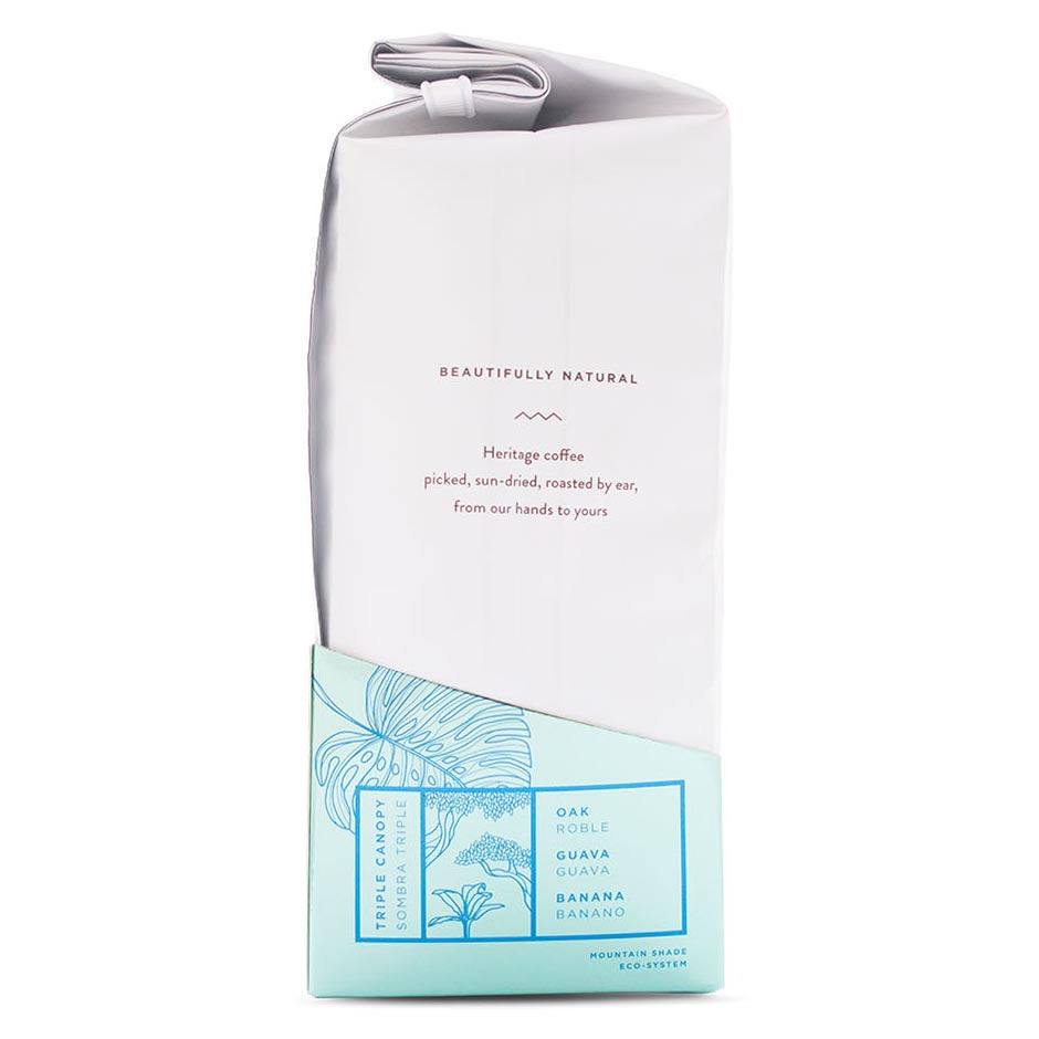 TWIN ENGINE COFFEE - ORGANIC ESTATE BREAKFAST WHOLE BEAN COFFEE (14 OZ BAG)