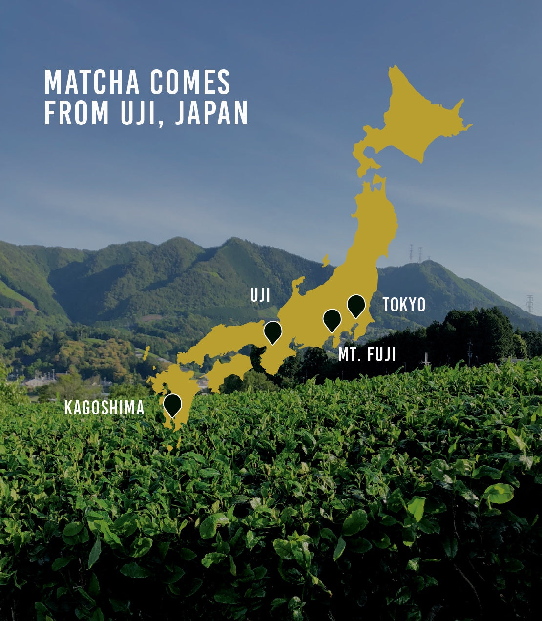Unjonotomo Ceremonial Matcha (Extra Thick Grade)