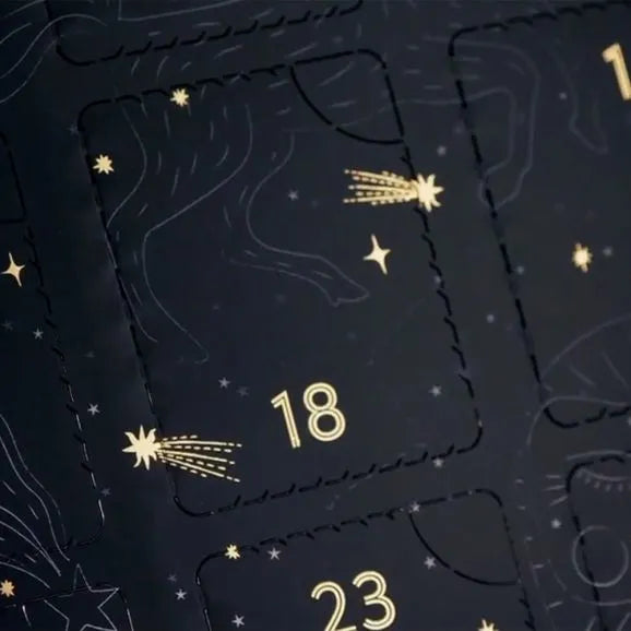 PALAIS DES THÉS - 2026 TEA ADVENT CALENDAR (24 ASSORTED TEA BAGS)